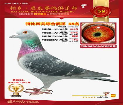 特比四關(guān)綜合:五十八名