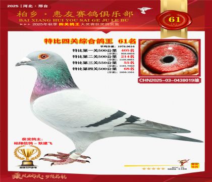 特比四關(guān)綜合:六十一名