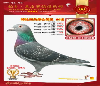 特比四關(guān)綜合:六十六名