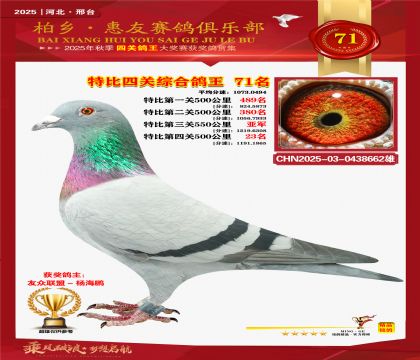 特比四關(guān)綜合:七十一名