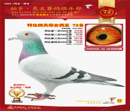 特比四關(guān)綜合:七十二名