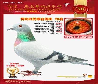 特比四關(guān)綜合:七十三名