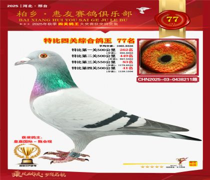 特比四關(guān)綜合:七十七名