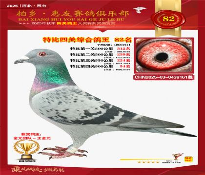 特比四關(guān)綜合:八十二名