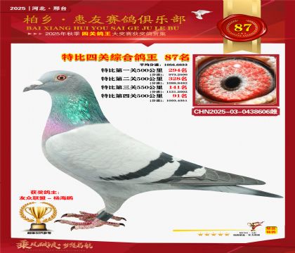 特比四關(guān)綜合:八十七名