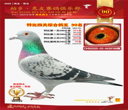 特比四關(guān)綜合:九十名