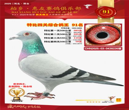 特比四關(guān)綜合:九十一名