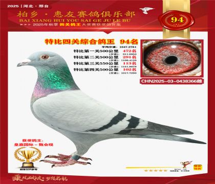 特比四關(guān)綜合:九十四名