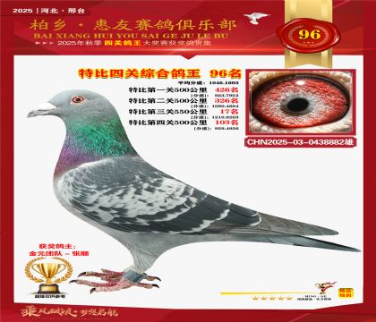 特比四關(guān)綜合:九十六名