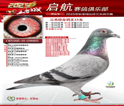 啟航三關(guān)鴿王15名
