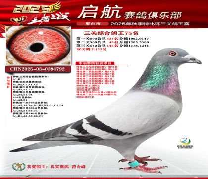 啟航三關(guān)鴿王75名
