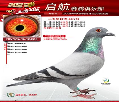 啟航三關(guān)鴿王67名