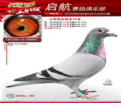 啟航三關(guān)鴿王76名