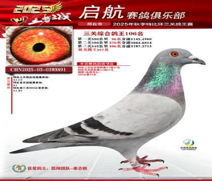 啟航三關(guān)鴿王106名