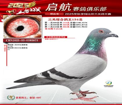 啟航三關(guān)鴿王134名