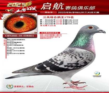 啟航三關(guān)鴿王179名