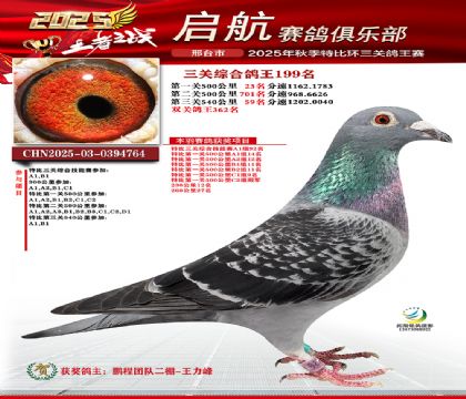 啟航三關(guān)鴿王199名