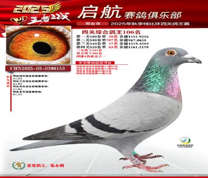 啟航四關(guān)鴿王106名