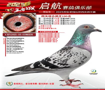 啟航四關(guān)鴿王105名