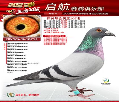 啟航四關(guān)鴿王107名