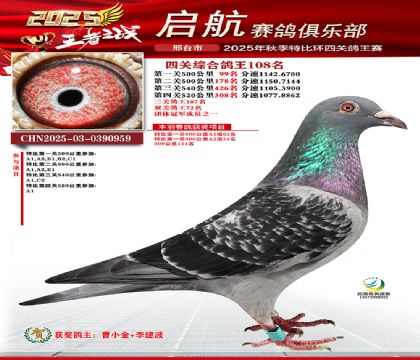 啟航四關(guān)鴿王108名