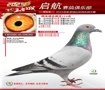 啟航四關(guān)鴿王114名