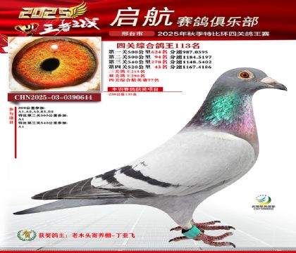 啟航四關(guān)鴿王113名