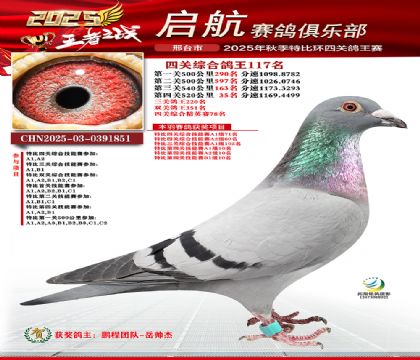 啟航四關(guān)鴿王117名
