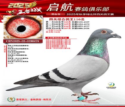 啟航四關(guān)鴿王116名