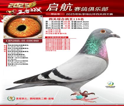 啟航四關(guān)鴿王118名