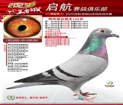 啟航四關(guān)鴿王122名