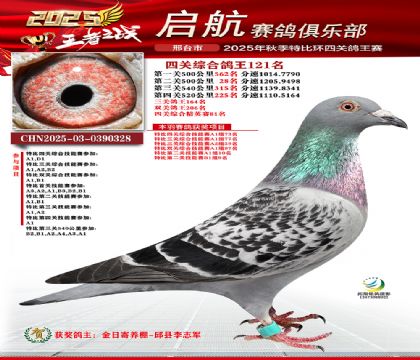 啟航四關(guān)鴿王121名