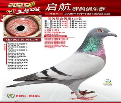 啟航四關(guān)鴿王125名