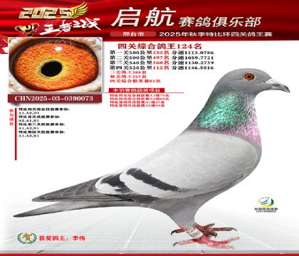 啟航四關(guān)鴿王124名
