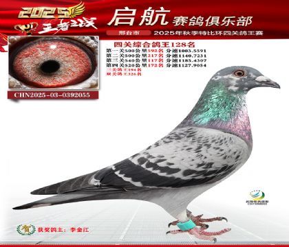 啟航四關(guān)鴿王128名