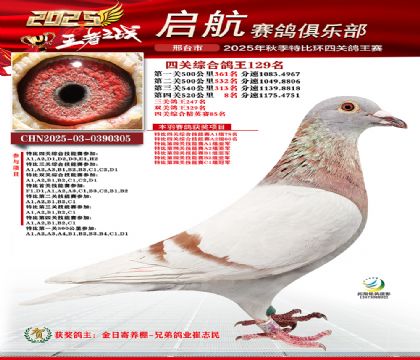 啟航四關(guān)鴿王129名