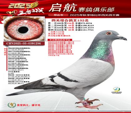 啟航四關(guān)鴿王132名
