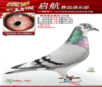 啟航四關(guān)鴿王133名