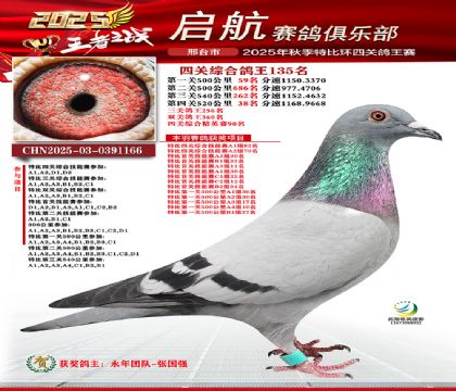 啟航四關(guān)鴿王135名