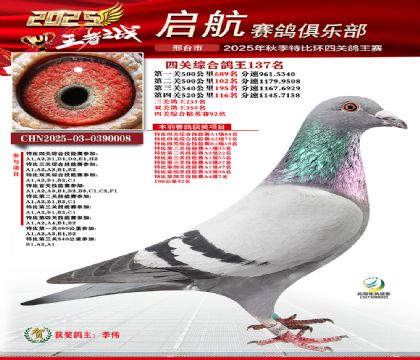啟航四關(guān)鴿王137名