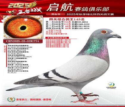 啟航四關(guān)鴿王143名
