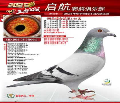 啟航四關(guān)鴿王145名