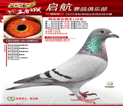 啟航四關(guān)鴿王149名