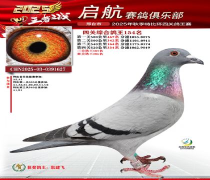 啟航四關(guān)鴿王154名