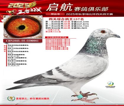 啟航四關(guān)鴿王157名