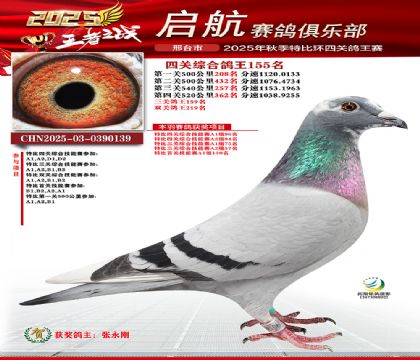 啟航四關(guān)鴿王155名