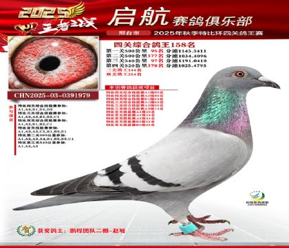 啟航四關(guān)鴿王158名