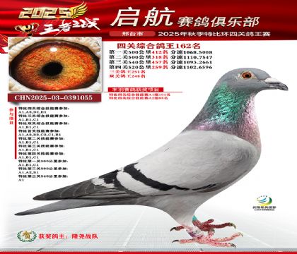 啟航四關(guān)鴿王162名