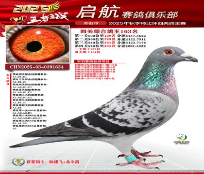 啟航四關(guān)鴿王163名