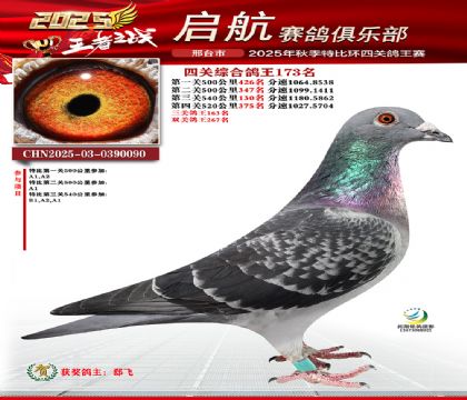 啟航四關(guān)鴿王173名